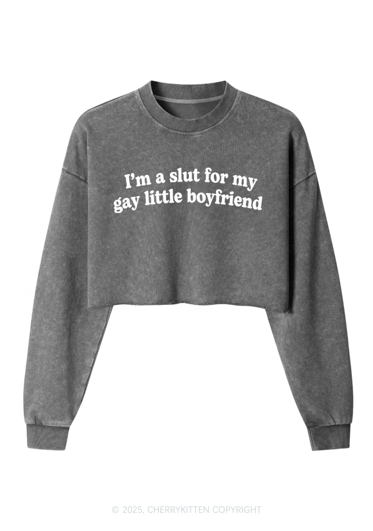 Slxt For My Gay BF Y2K Crop Washed Sweatshirts Cherrykitten
