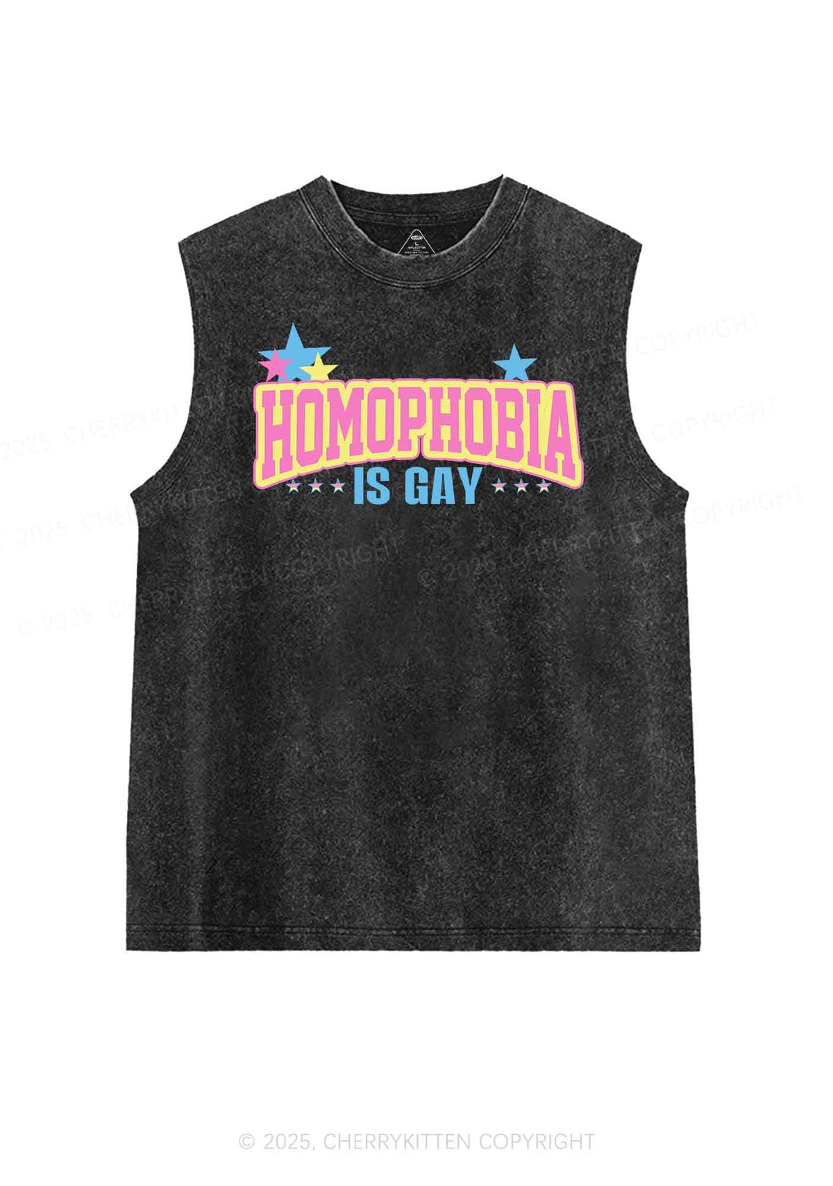 Homophobia Is Gay Y2K Washed Tank Cherrykitten