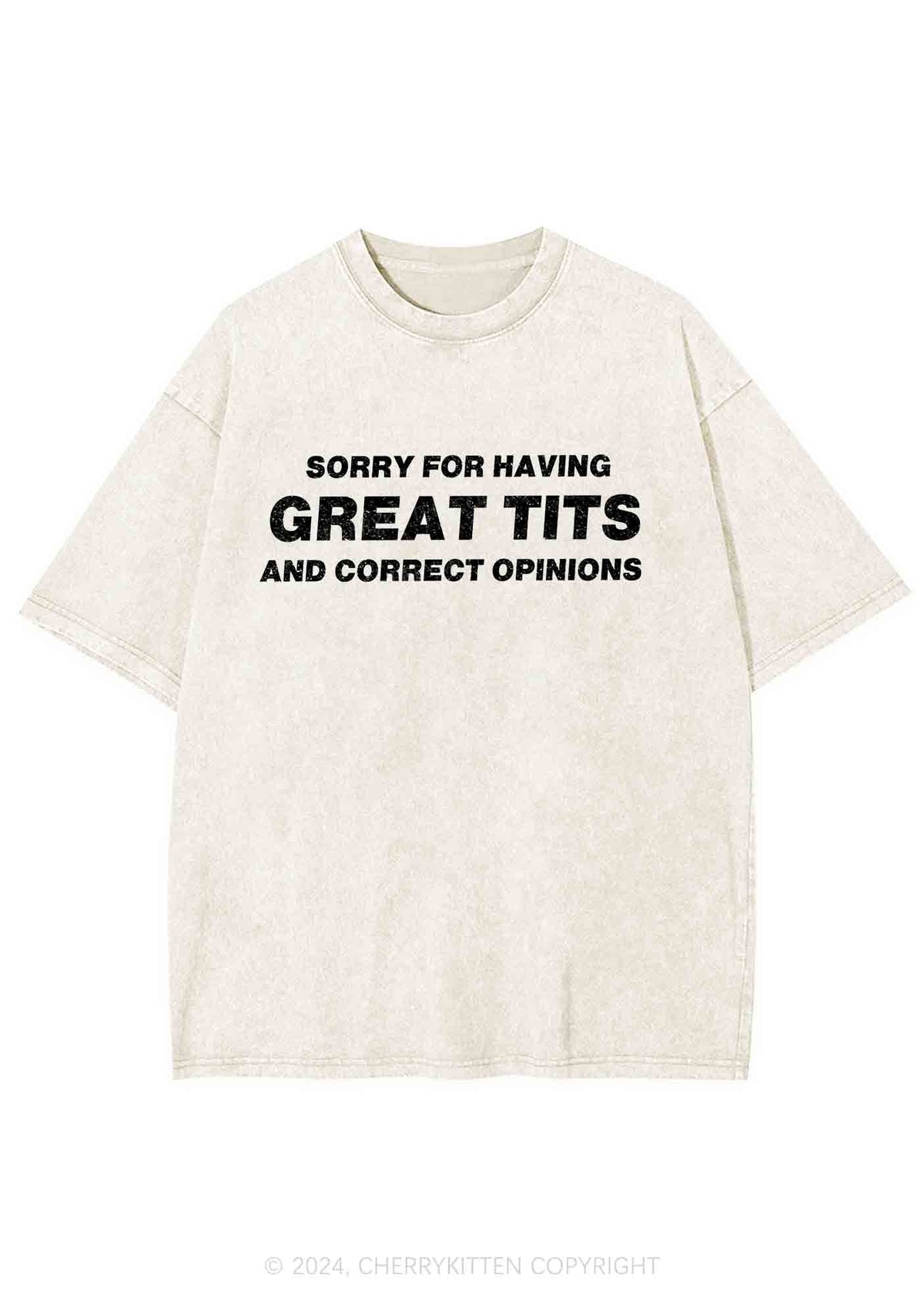 Sorry For Having Correct Opinions Y2K Washed Tee Cherrykitten