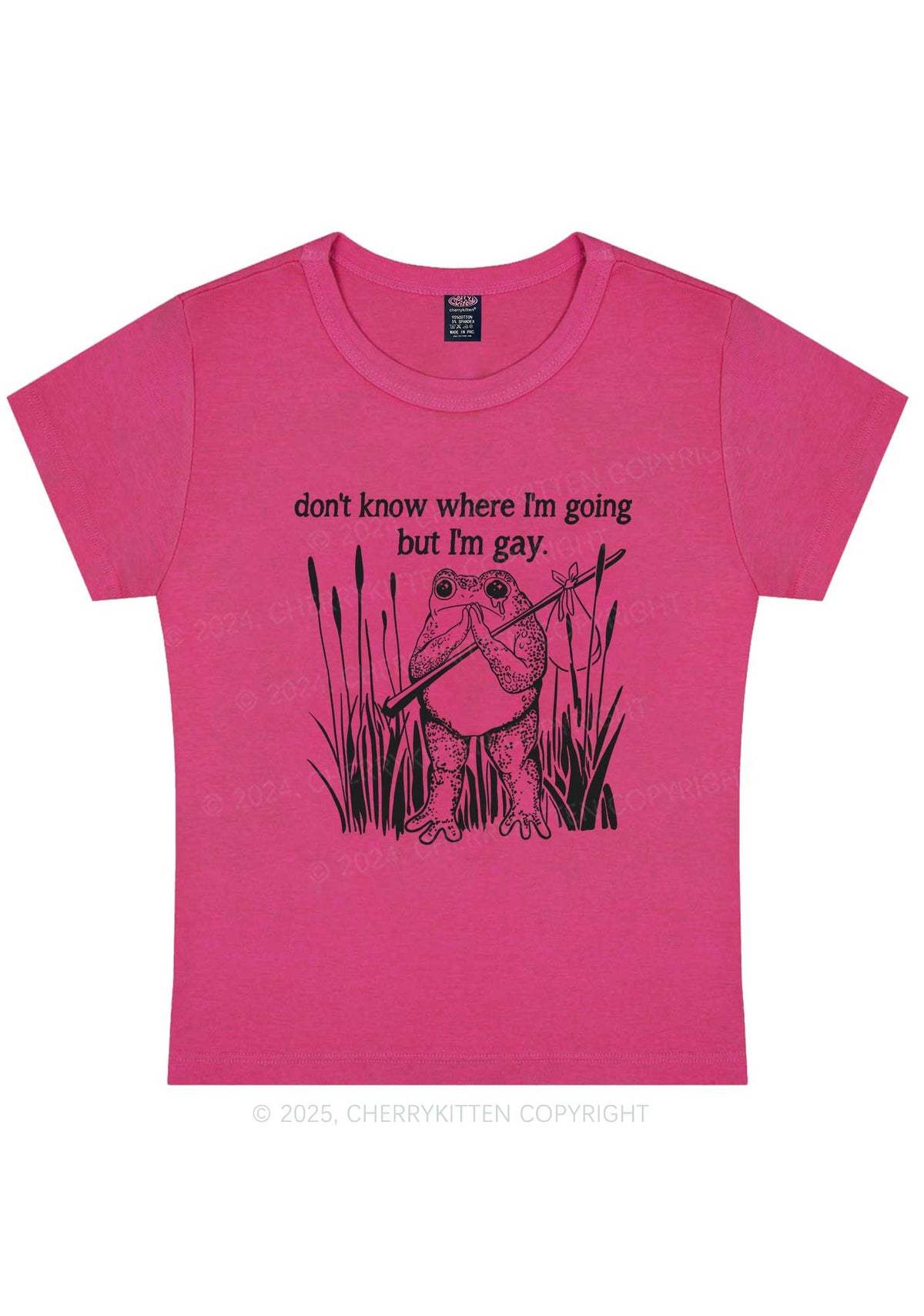 But I Am Gay Frog Pride Y2K Baby Tee Cherrykitten