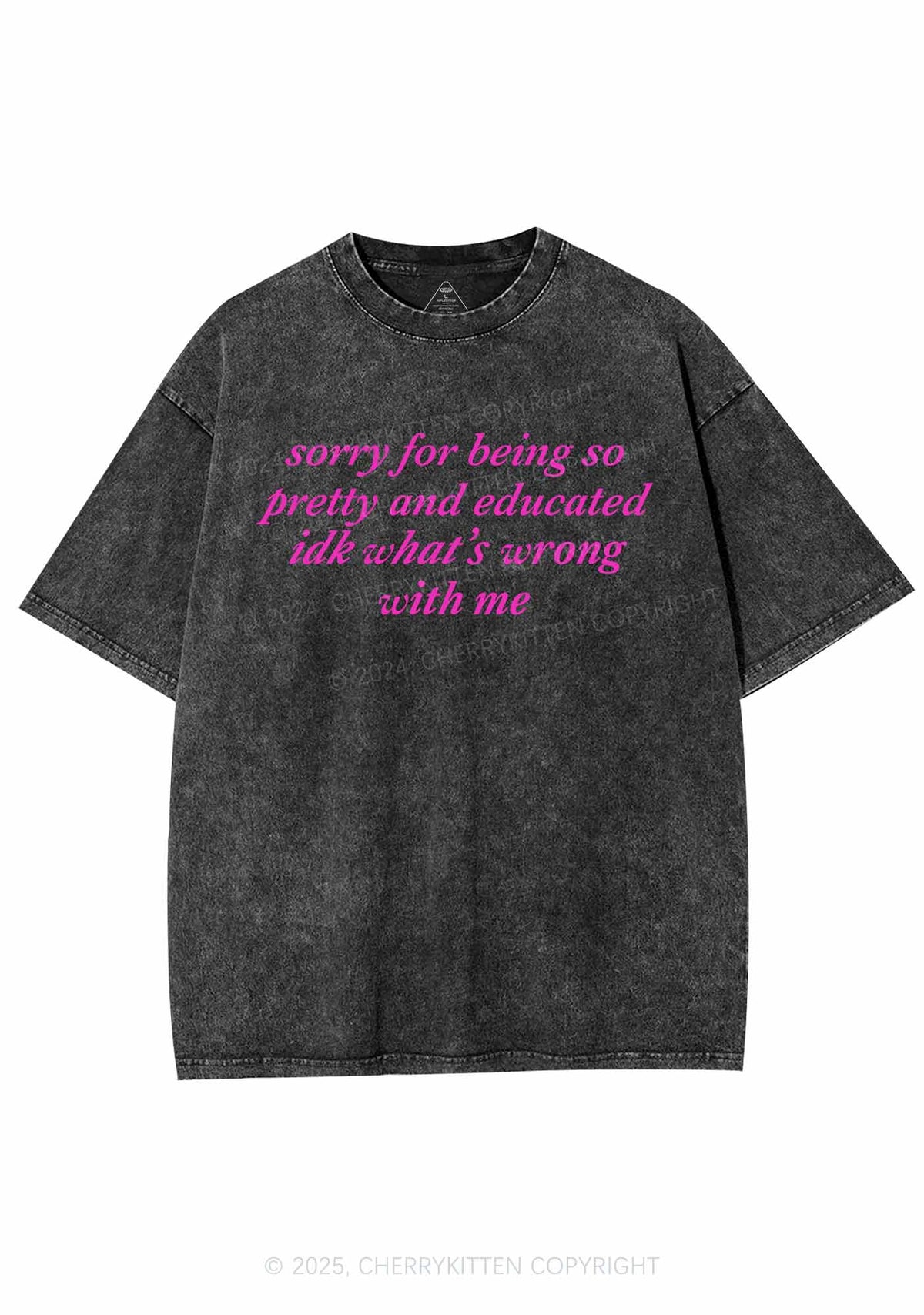 Sorry For Being So Pretty Y2K Shirts Washed Tee Cherrykitten