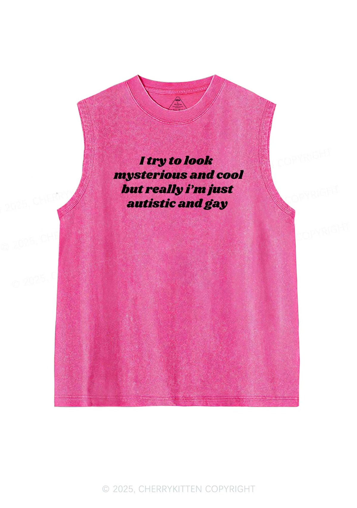 Im Just Autistic And Gay Pride Y2K Washed Muscle Tank Cherrykitten