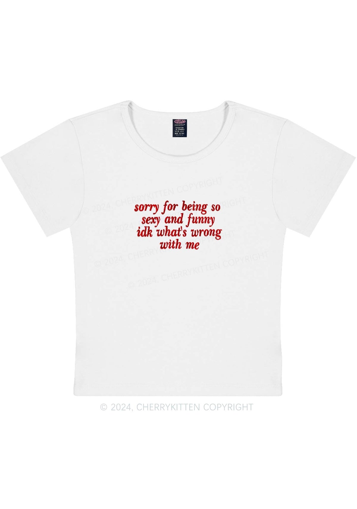 Embroidered Sorry For Being So Funny Y2K Baby Tee Cherrykitten