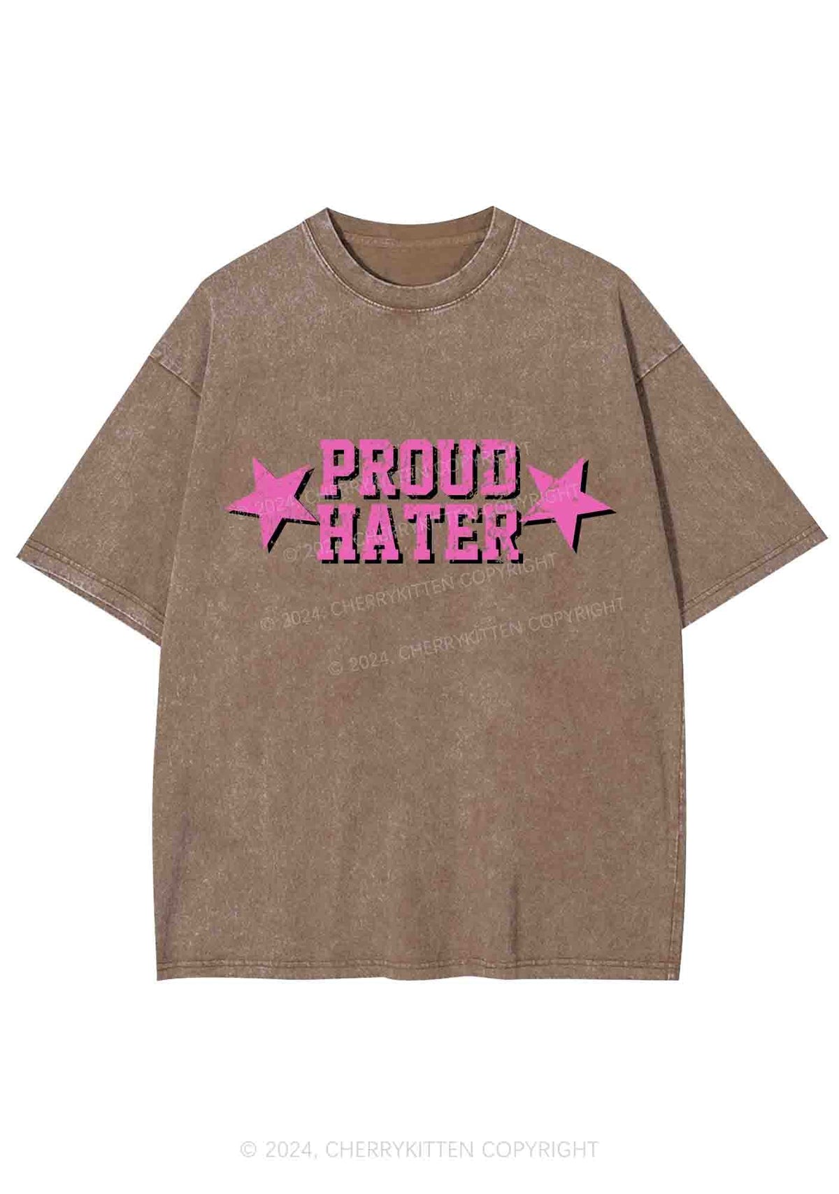 Proud Hater Y2K Washed Tee Cherrykitten