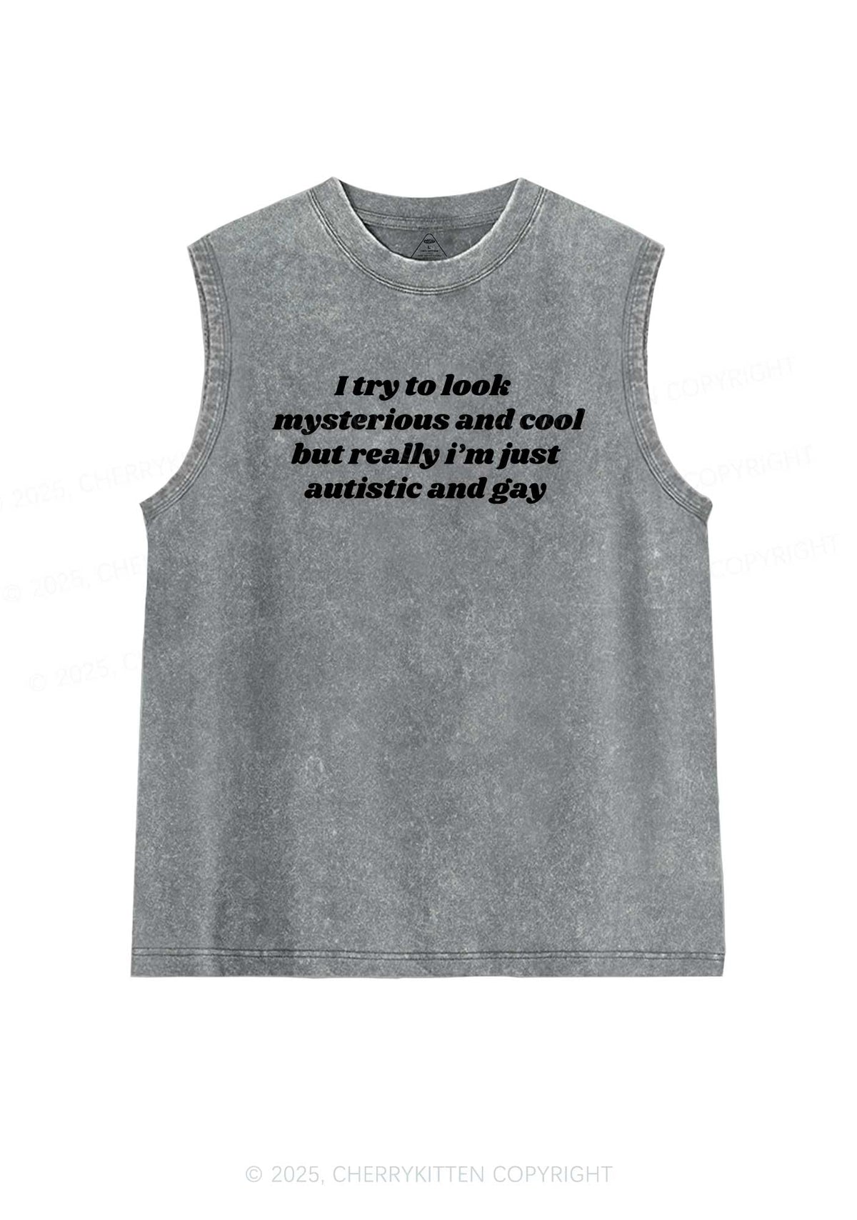 Im Just Autistic And Gay Pride Y2K Washed Muscle Tank Cherrykitten