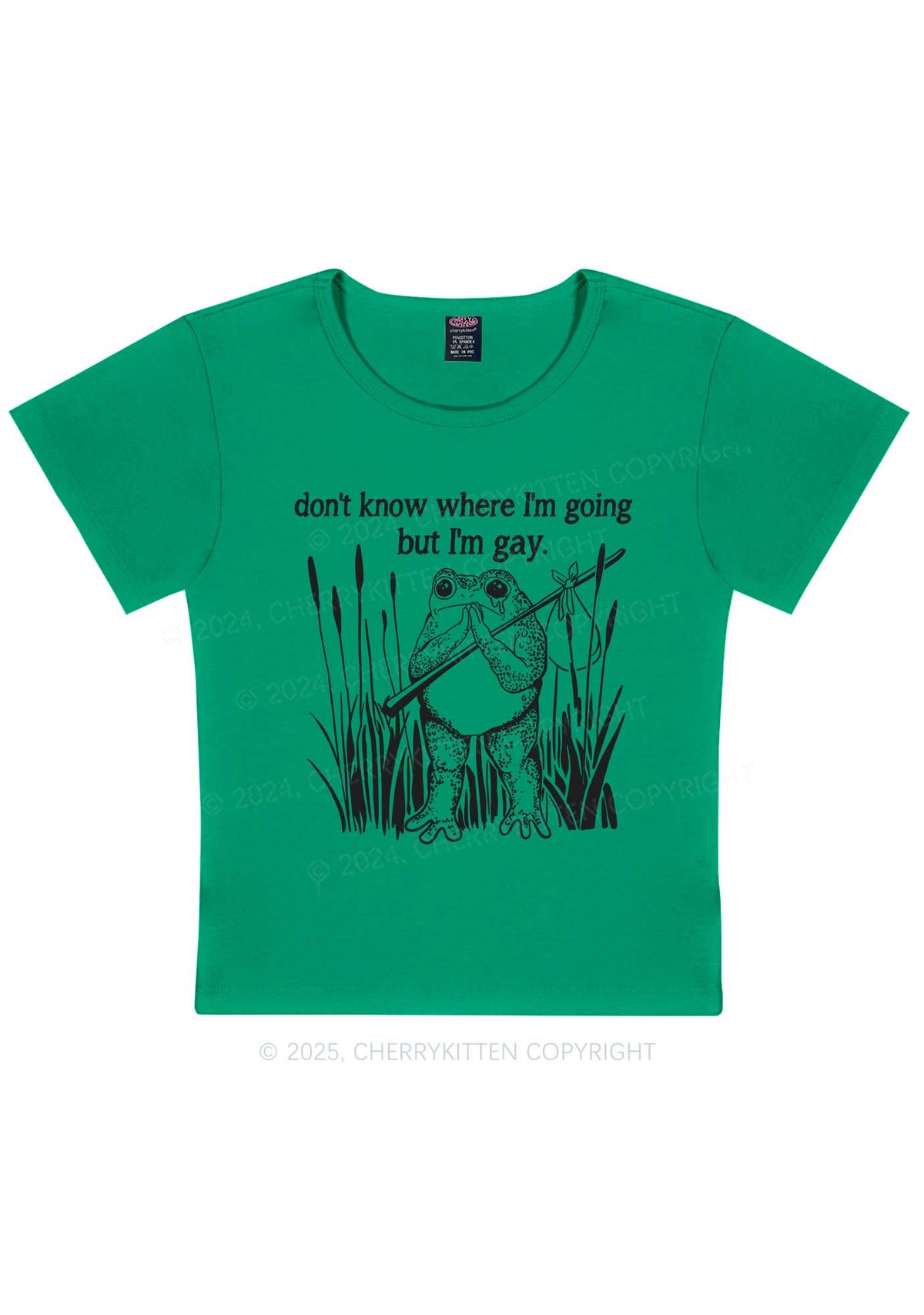 But I Am Gay Frog Pride Y2K Baby Tee Cherrykitten