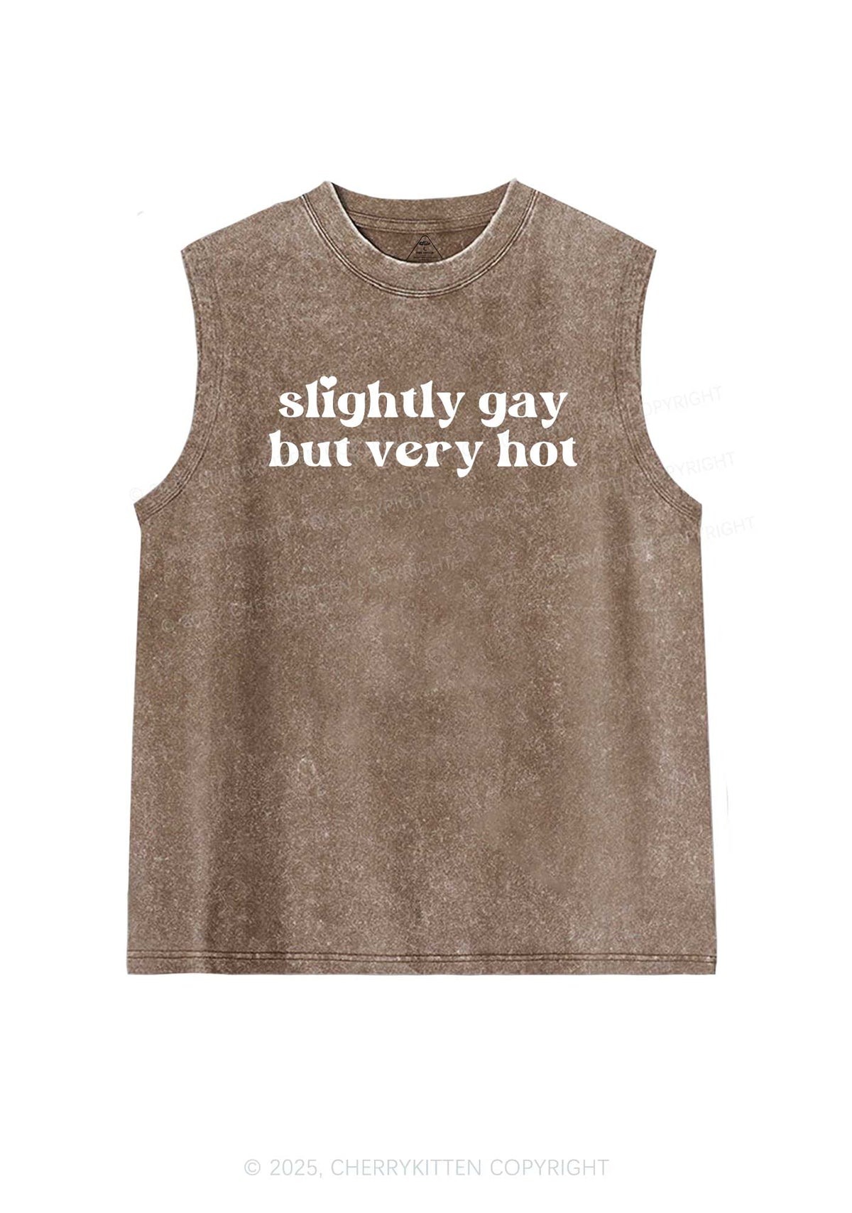 Slightly Gay But Very Hot Pride Y2K Washed Muscle Tank Cherrykitten