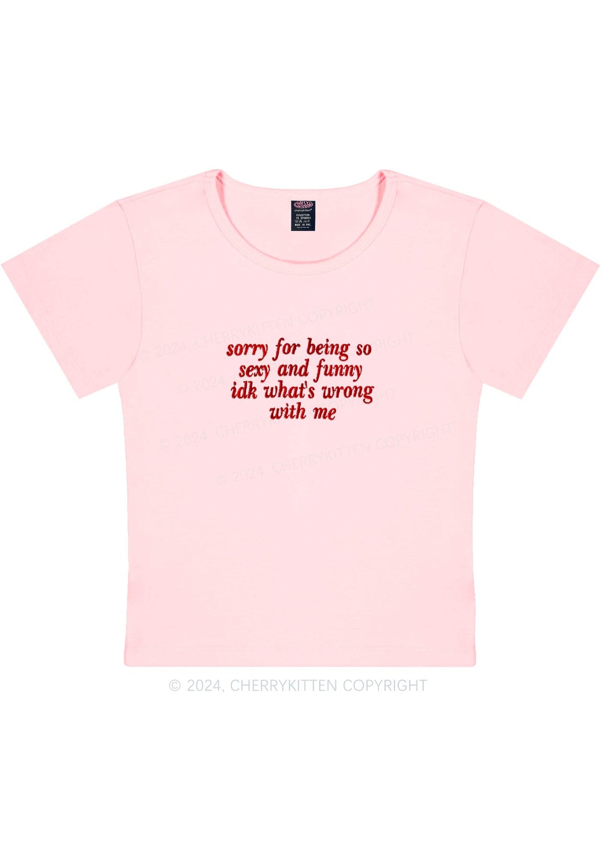 Embroidered Sorry For Being So Funny Y2K Baby Tee Cherrykitten