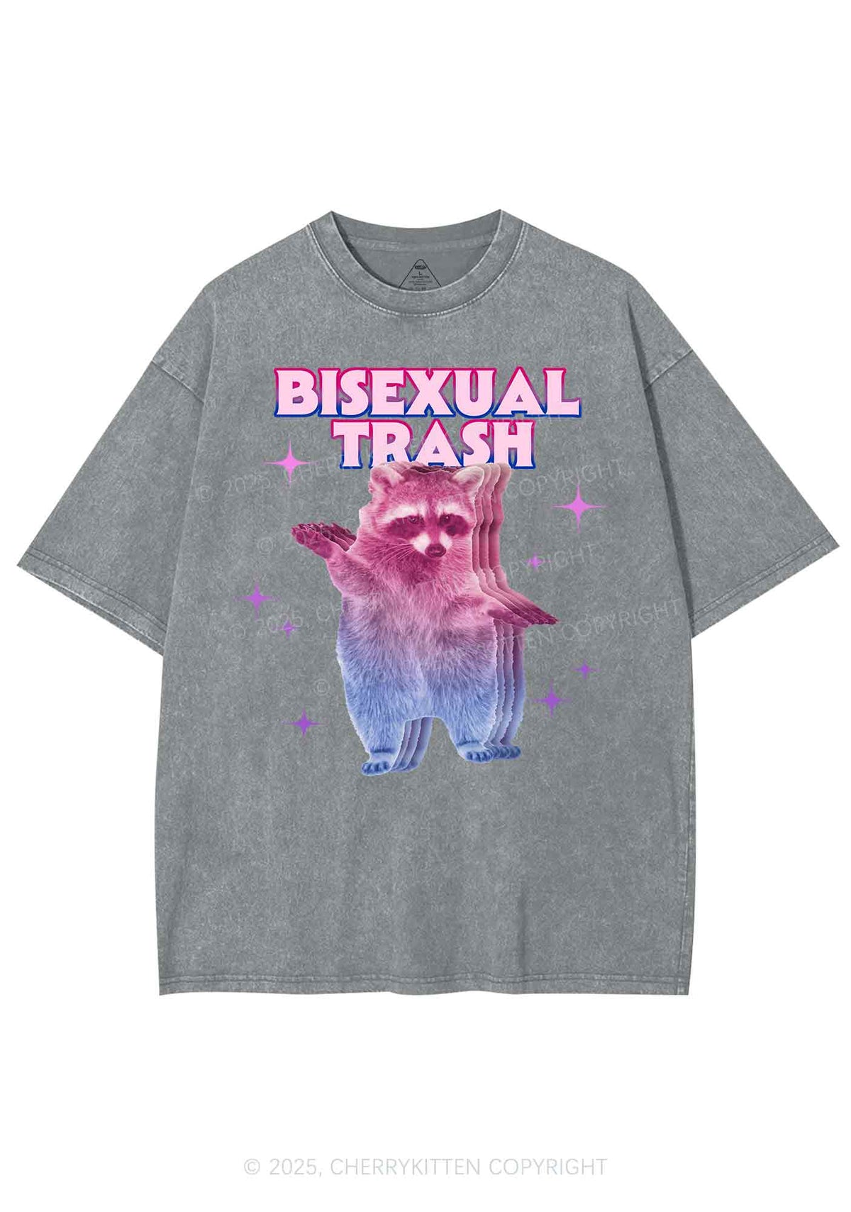 Bisexual Trash Raccoon Pride Y2K Shirts Washed Tee Cherrykitten