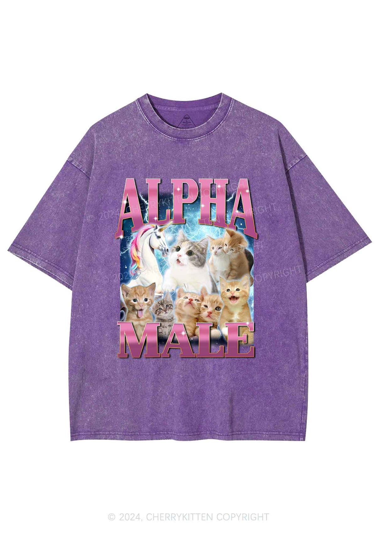 Kitten Unicorn Alpha Male Y2K Washed Tee Cherrykitten