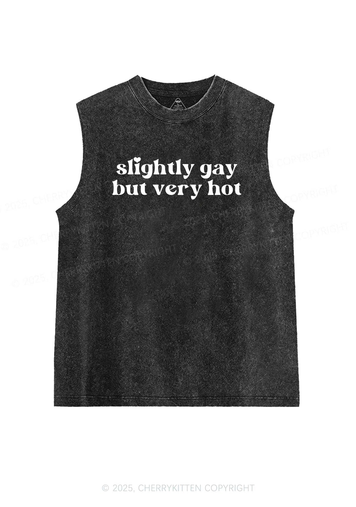Slightly Gay But Very Hot Pride Y2K Washed Muscle Tank Cherrykitten
