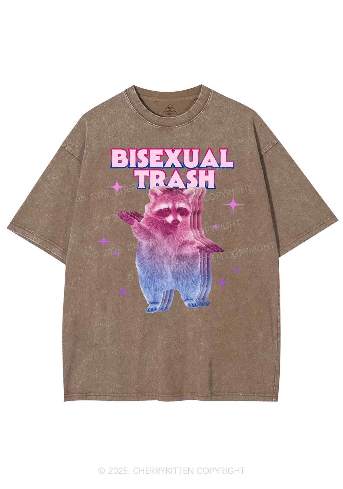 Bisexual Trash Raccoon Pride Y2K Shirts Washed Tee Cherrykitten