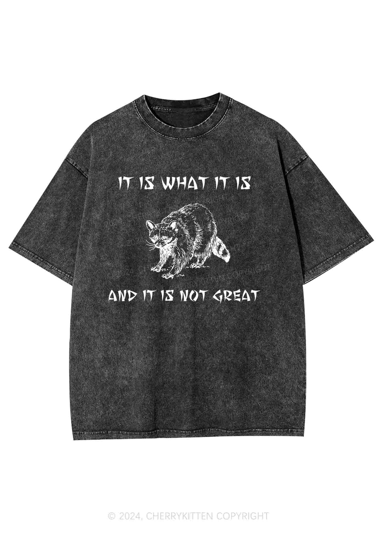 It Is What It Is And It Is Not Great Y2K Washed Tee Cherrykitten