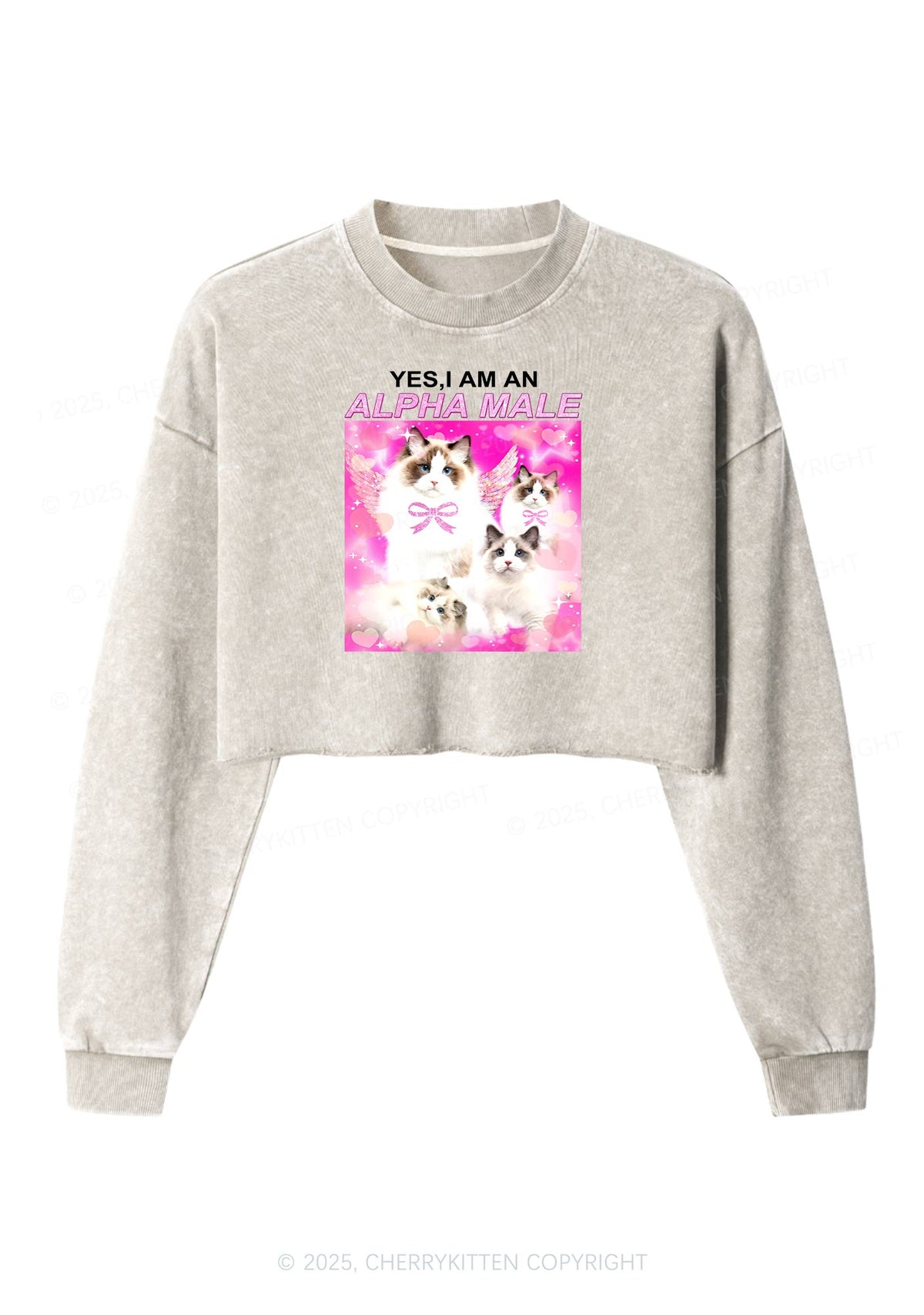 Alpha Male Y2K Crop Washed Sweatshirts Cherrykitten
