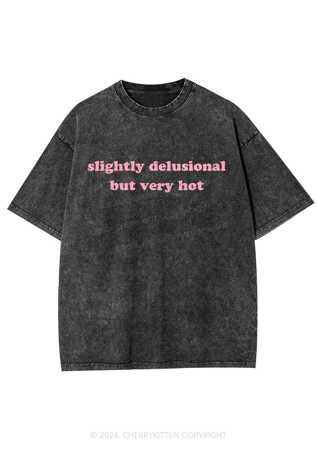 Slightly Delusional But Very Hot Y2K Washed Tee Cherrykitten
