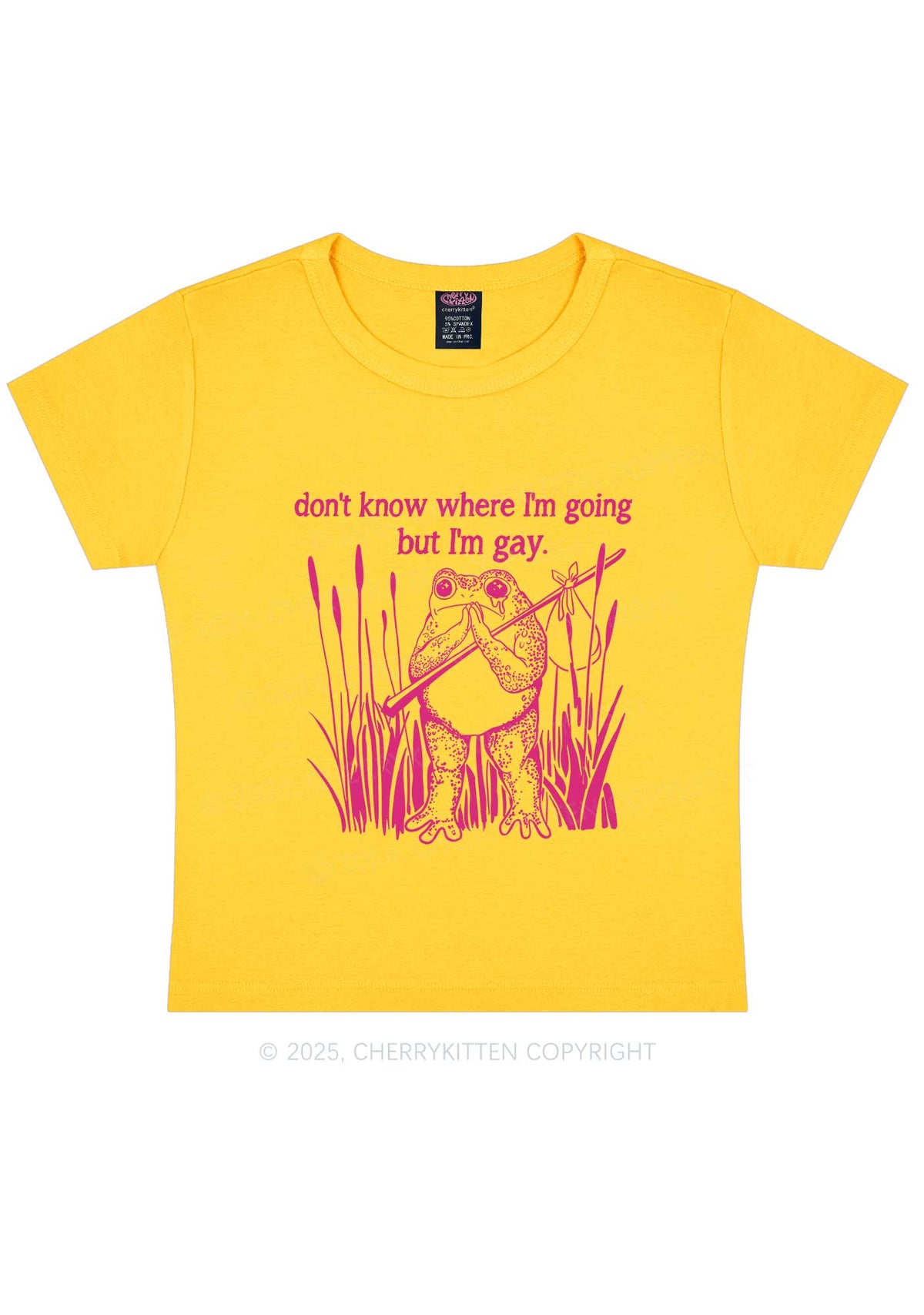 But I Am Gay Frog Pride Y2K Baby Tee Cherrykitten