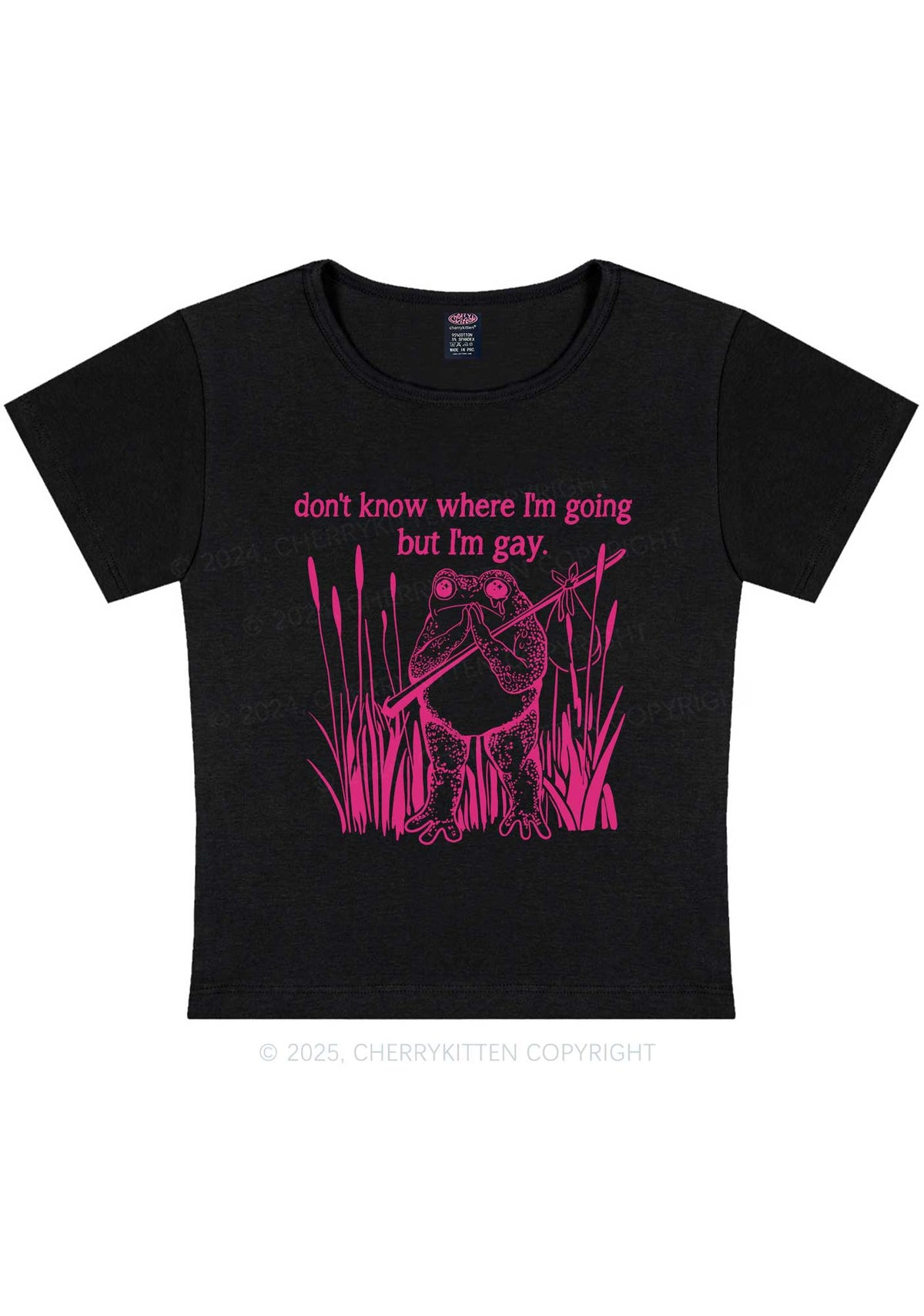 But I Am Gay Frog Pride Y2K Baby Tee Cherrykitten
