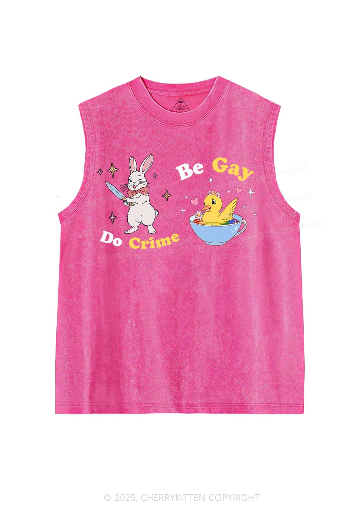 Be Gay Do Crime Pride Y2K Washed Muscle Tank Cherrykitten
