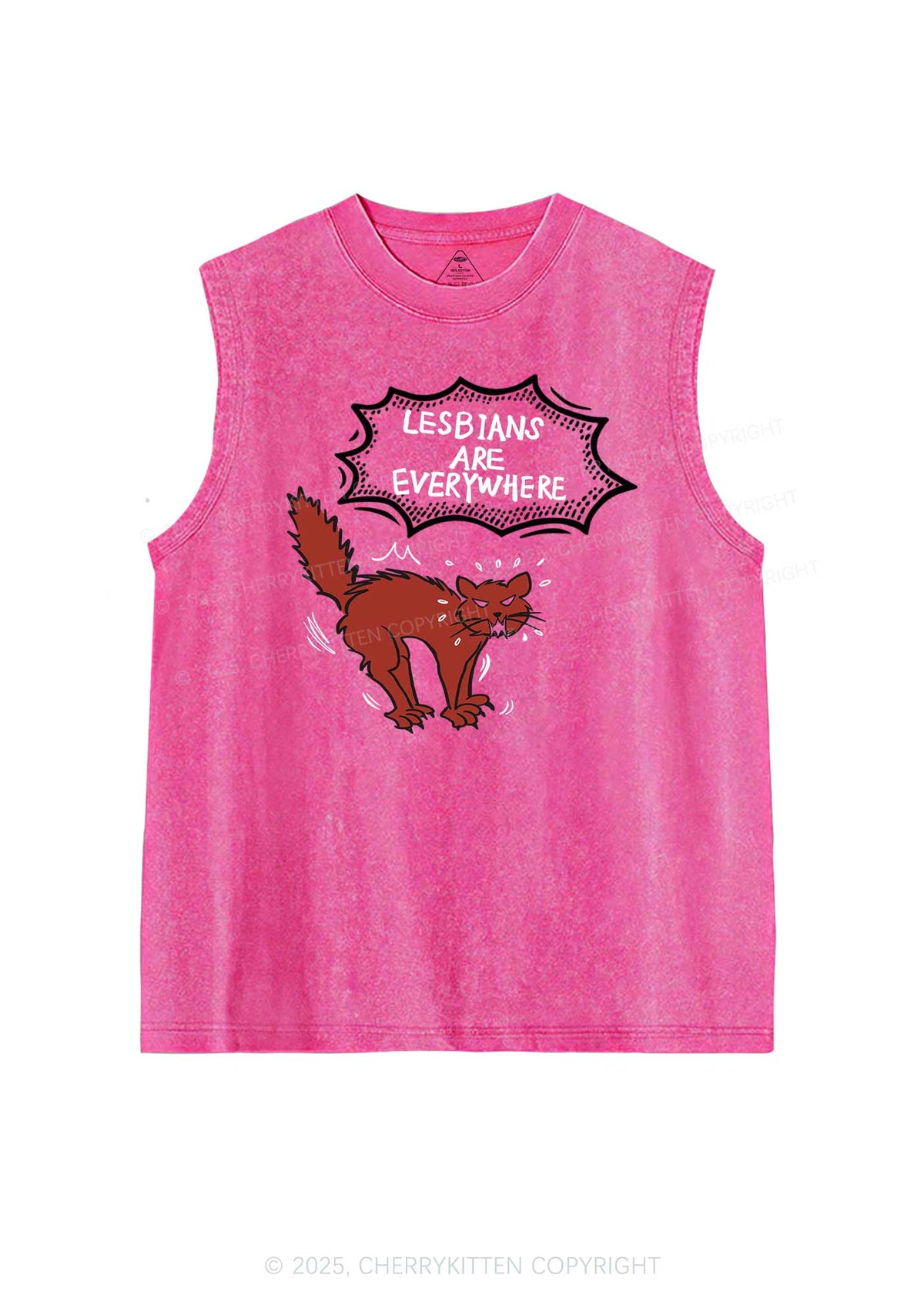 Lesbians Are Everywhere Pride Y2K Washed Muscle Tank Cherrykitten