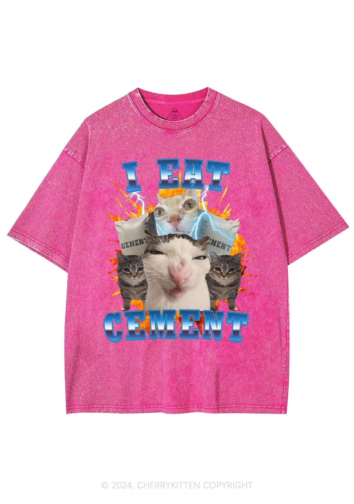 I Eat Cement Funny Cat Y2K Washed Tee Cherrykitten