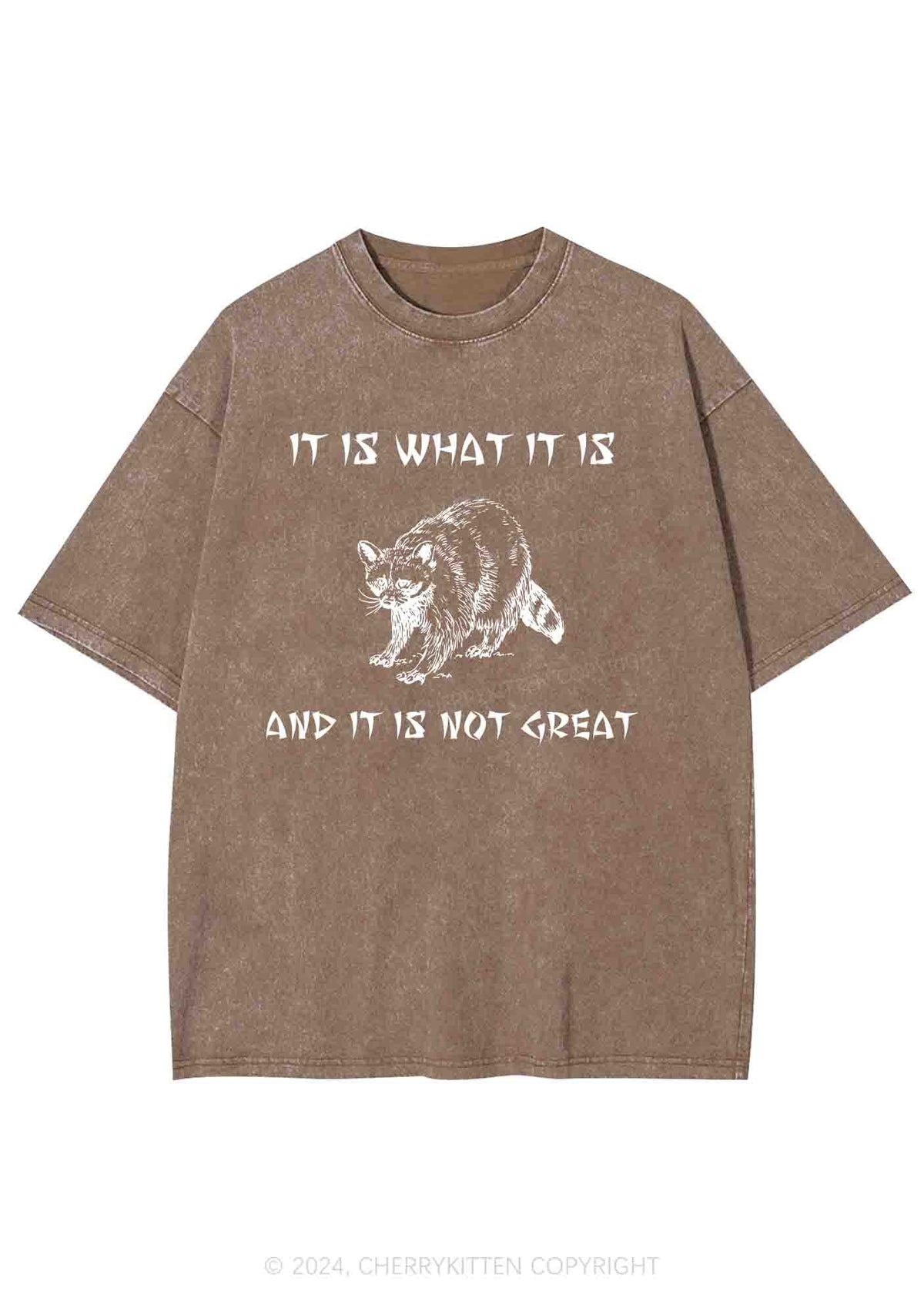 It Is What It Is And It Is Not Great Y2K Washed Tee Cherrykitten