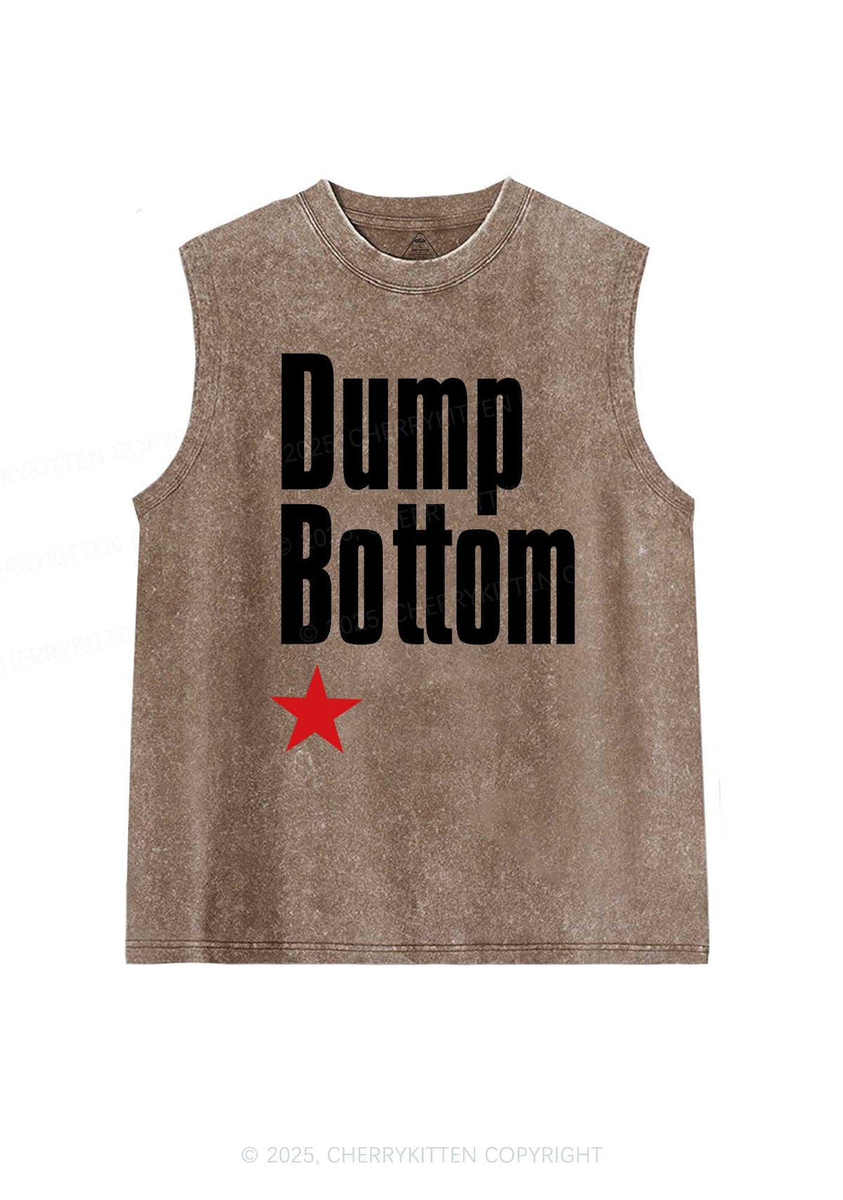 Dump Bottom Pride Y2K Washed Muscle Tank Cherrykitten