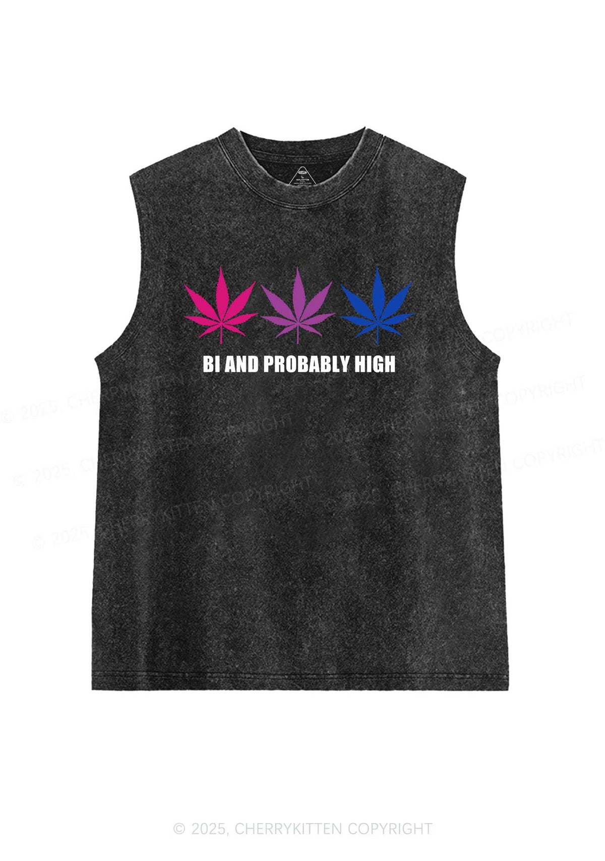 Bi Probably High Pride Y2K Washed Muscle Tank Cherrykitten
