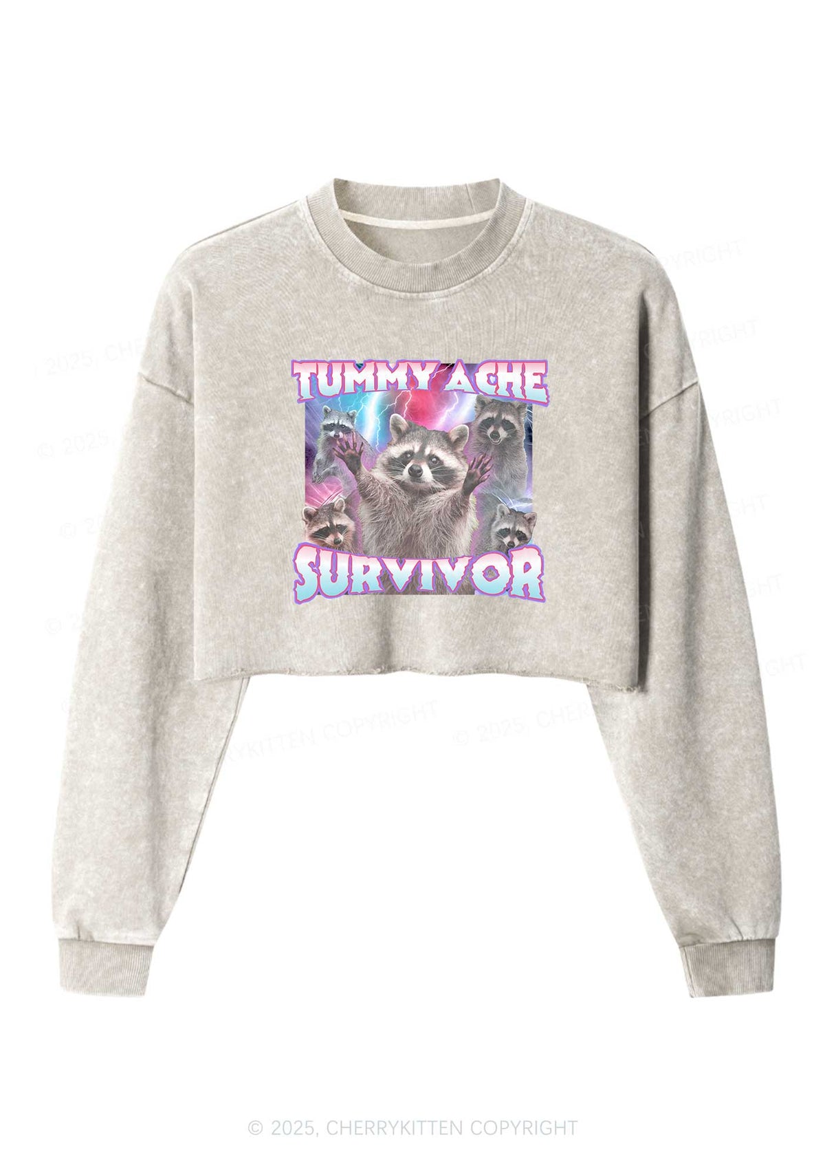 Tummy Ache Survivor Raccoon Y2K Crop Washed Sweatshirts Cherrykitten