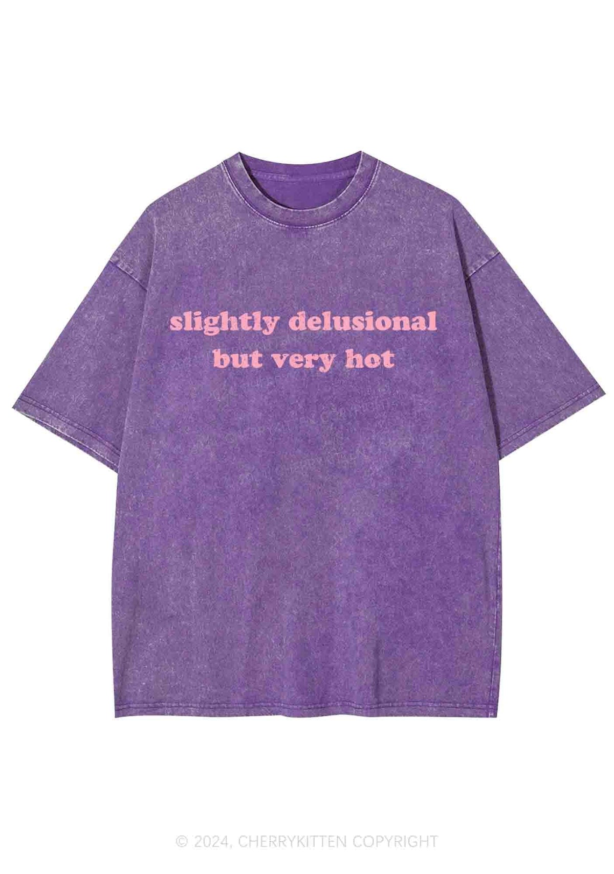 Slightly Delusional But Very Hot Y2K Washed Tee Cherrykitten