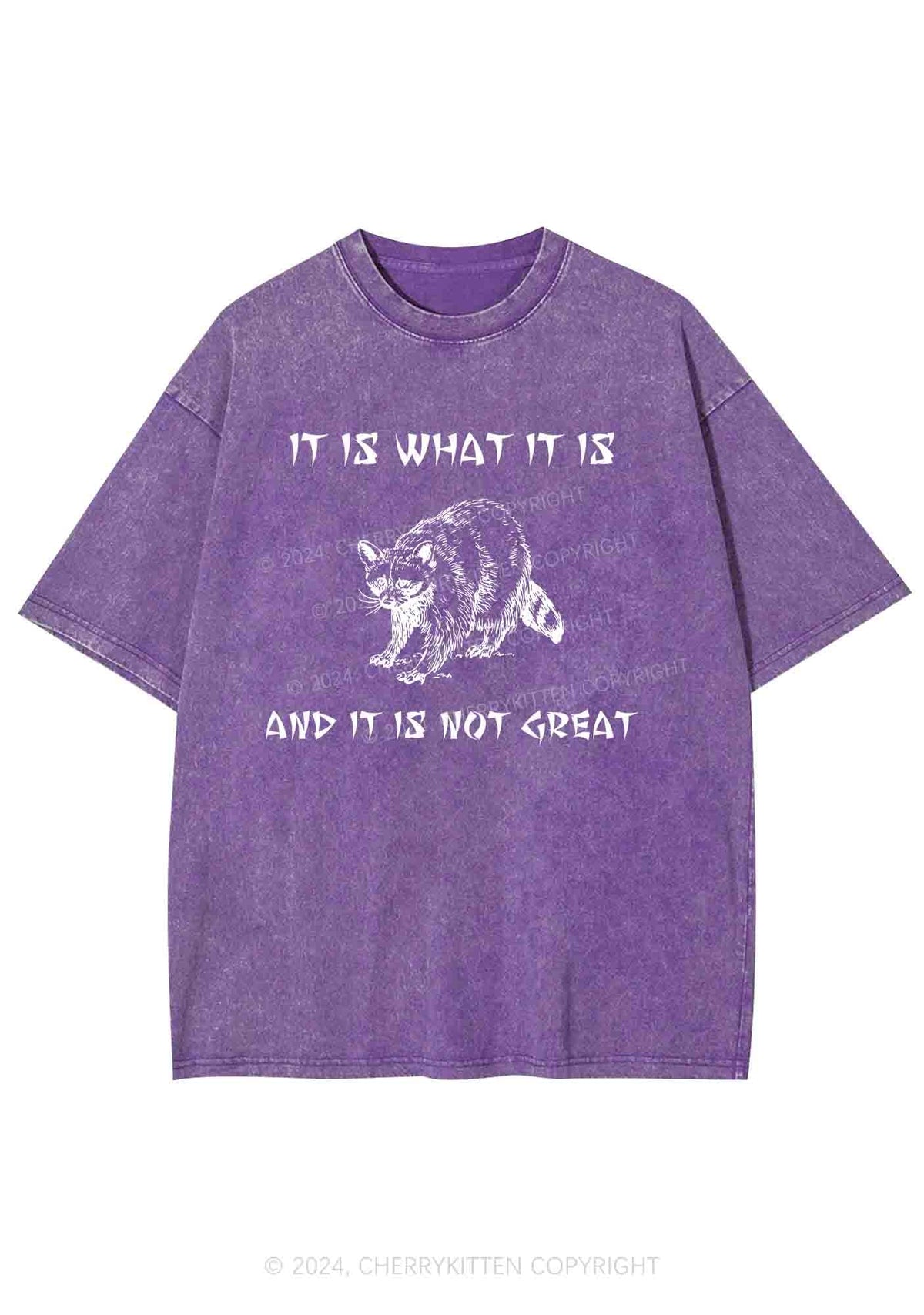 It Is What It Is And It Is Not Great Y2K Washed Tee Cherrykitten