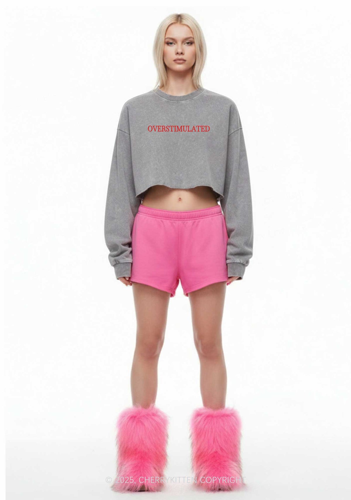 Embroidered Overstimulated Y2K Crop Washed Sweatshirts Cherrykitten
