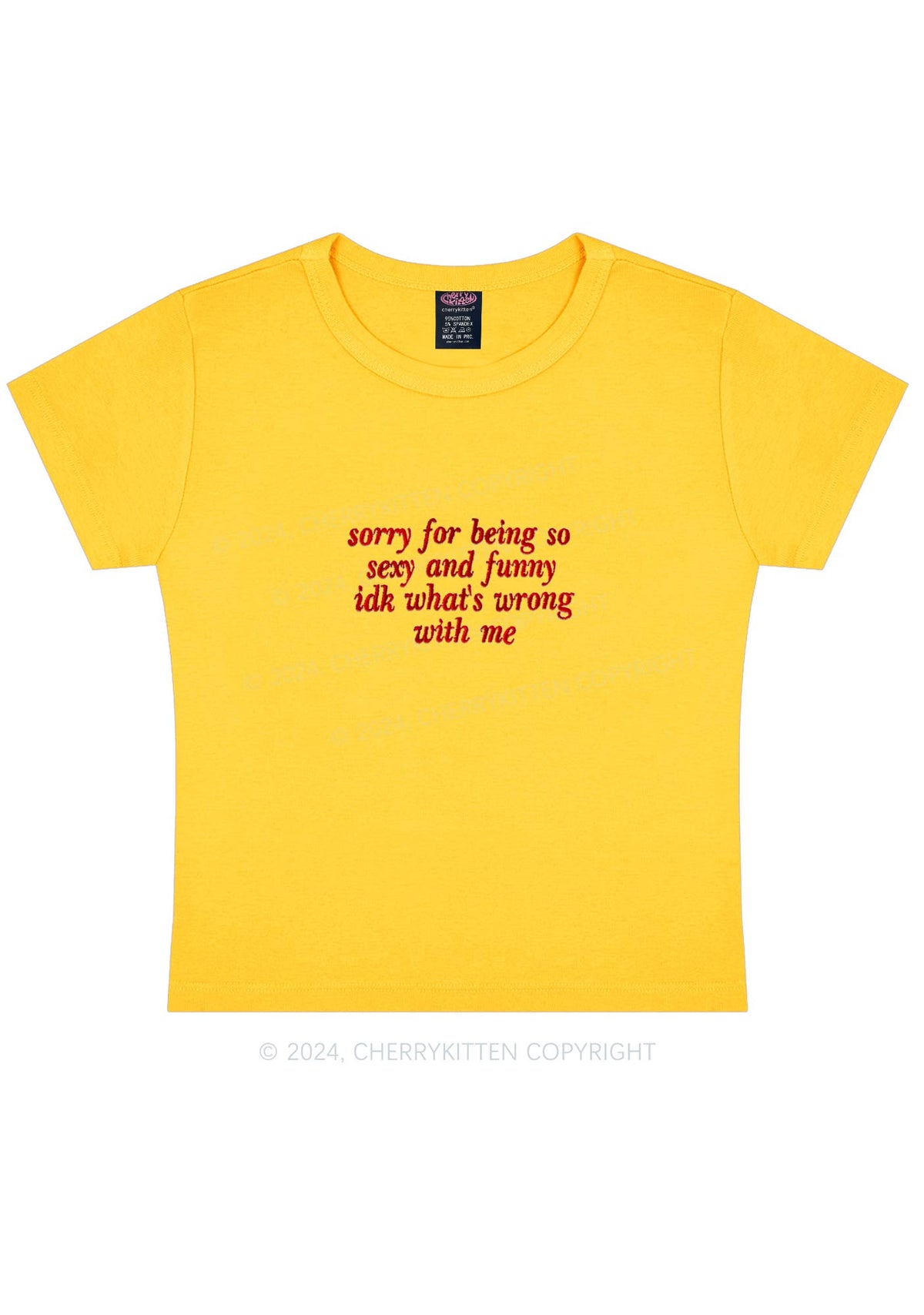 Embroidered Sorry For Being So Funny Y2K Baby Tee Cherrykitten