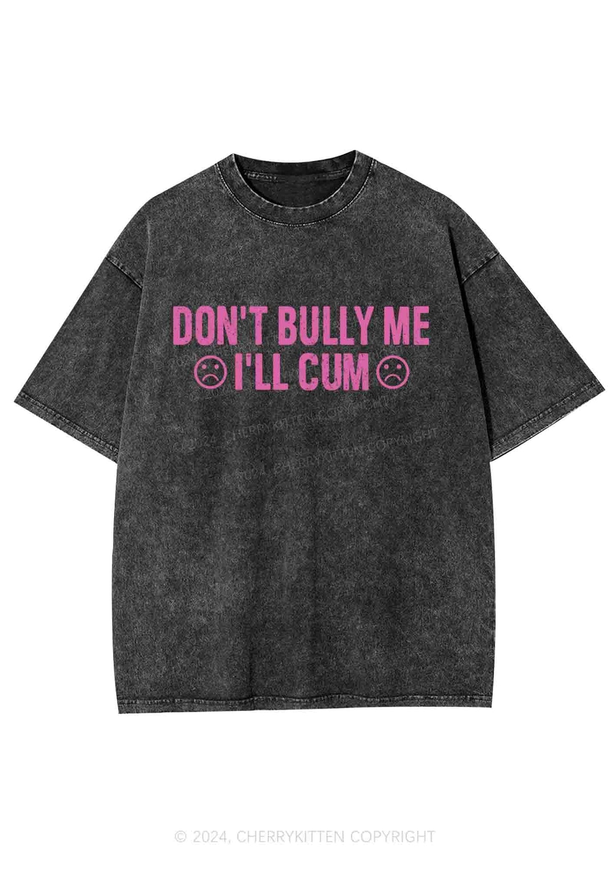 Don't Bully Me Y2K Washed Tee Cherrykitten