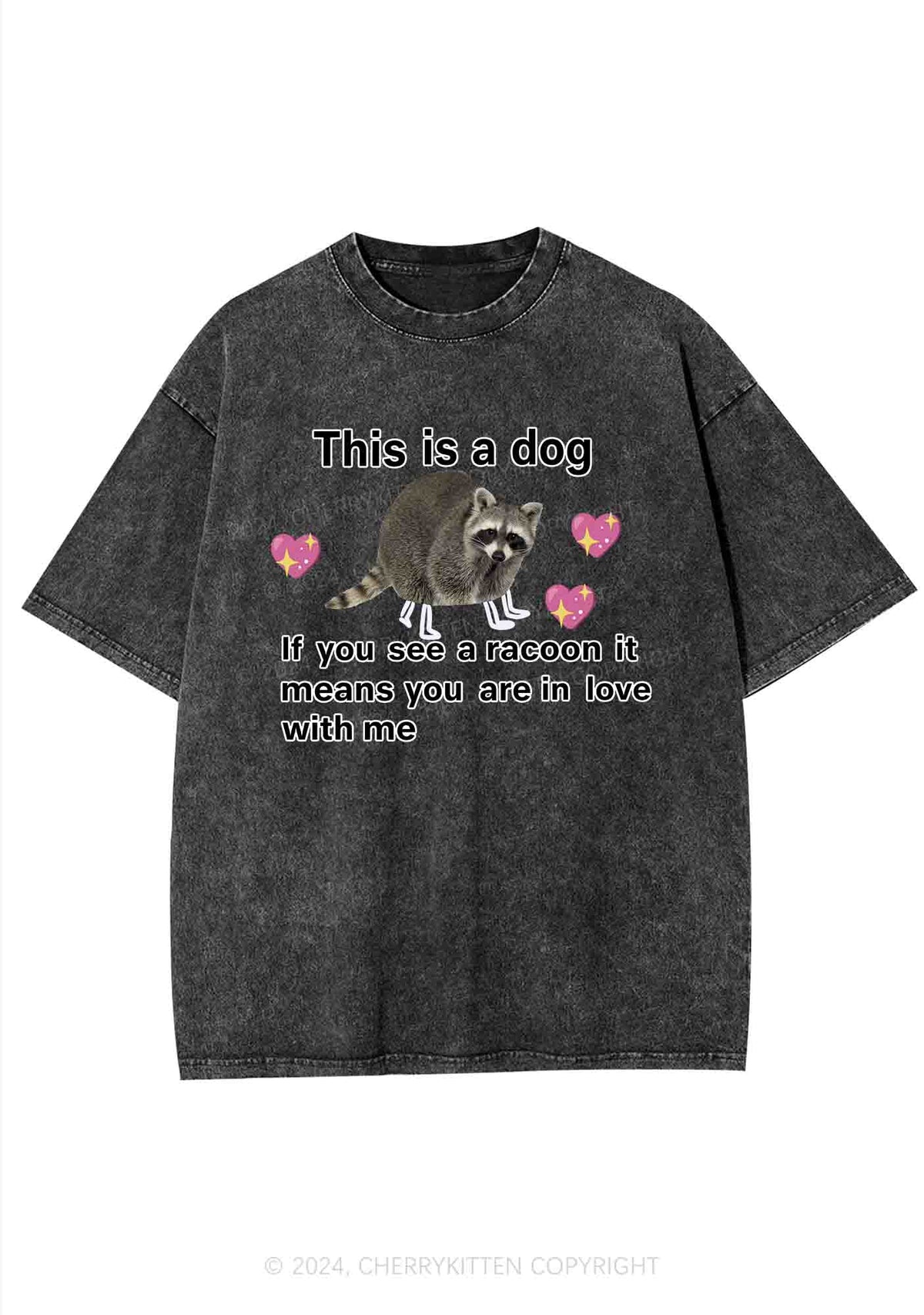 You Are In Love With Me Y2K Washed Tee Cherrykitten