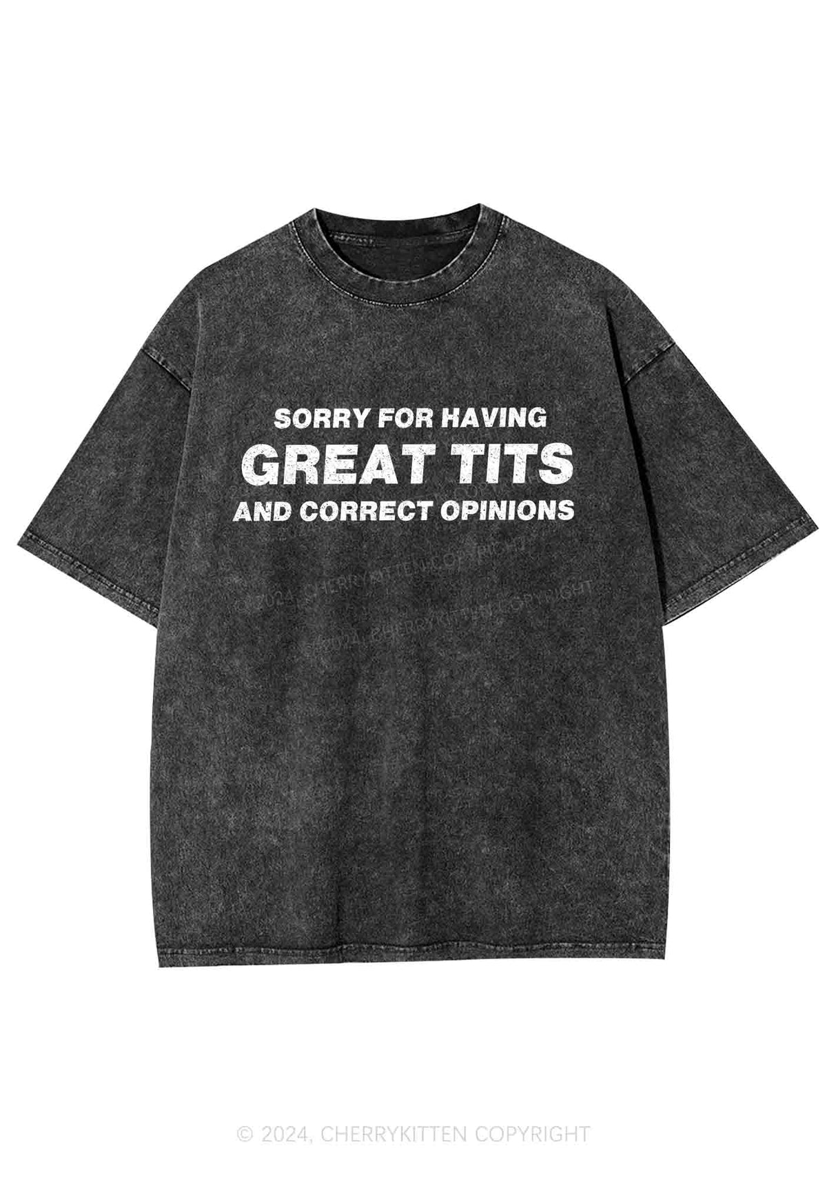 Sorry For Having Correct Opinions Y2K Washed Tee Cherrykitten
