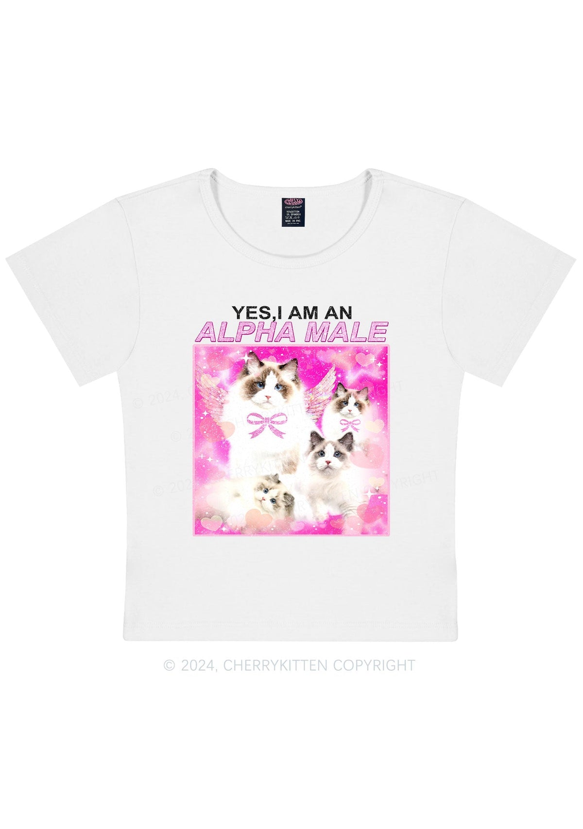 Alpha Male Y2K Baby Tee Cherrykitten