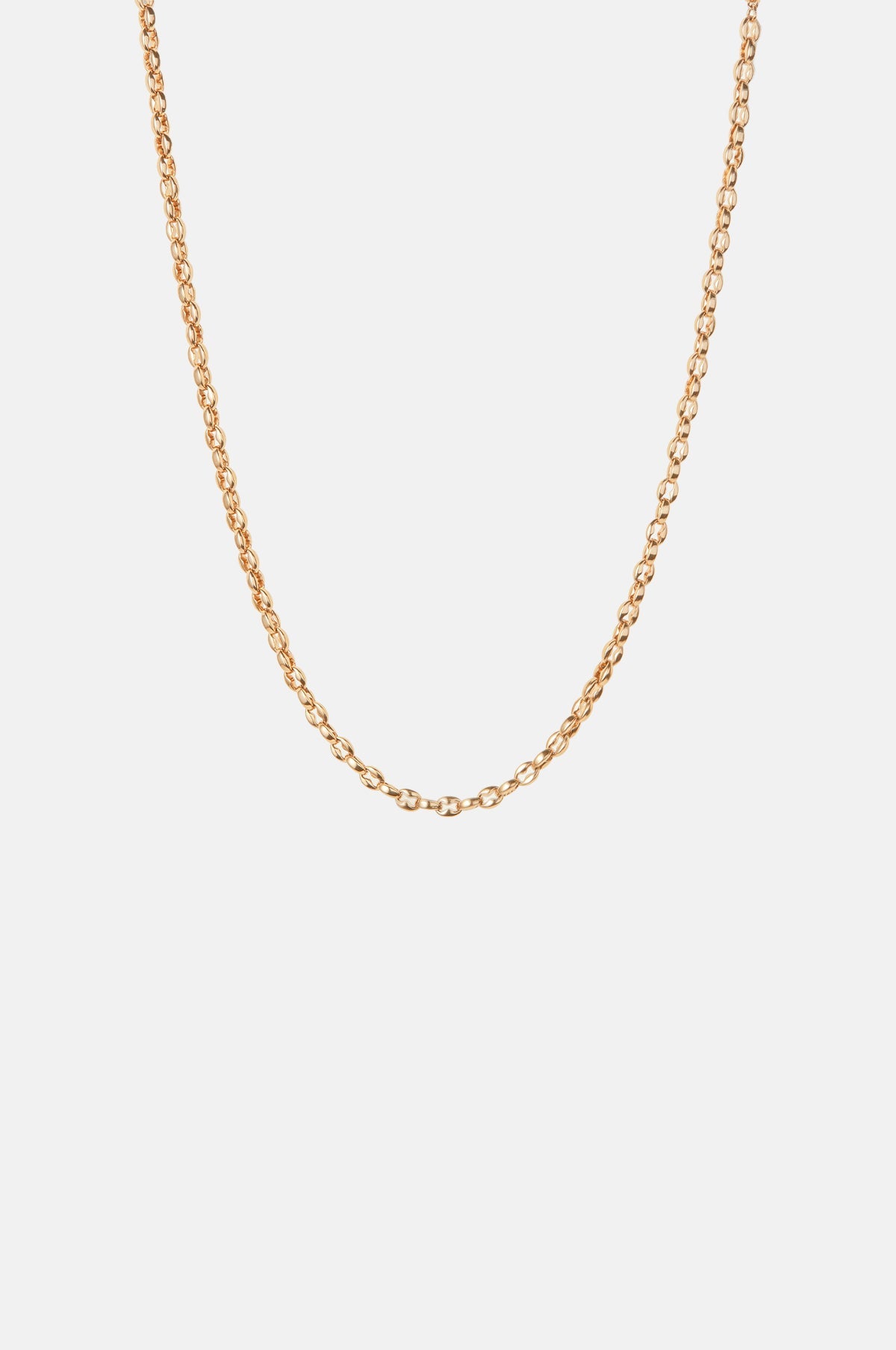 Dhani Gold Chain Necklace