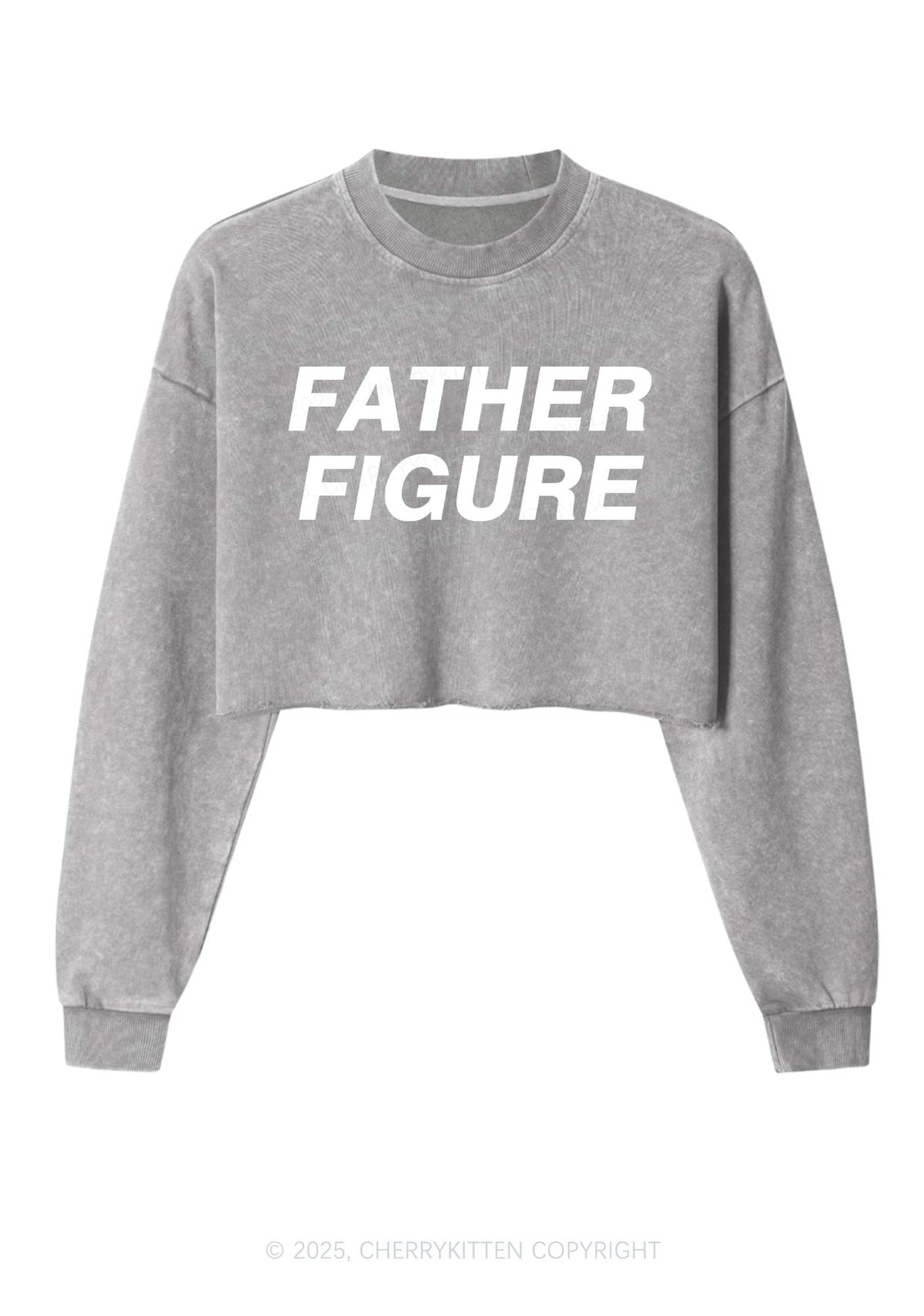 Father Figure Y2K Crop Washed Sweatshirts Cherrykitten