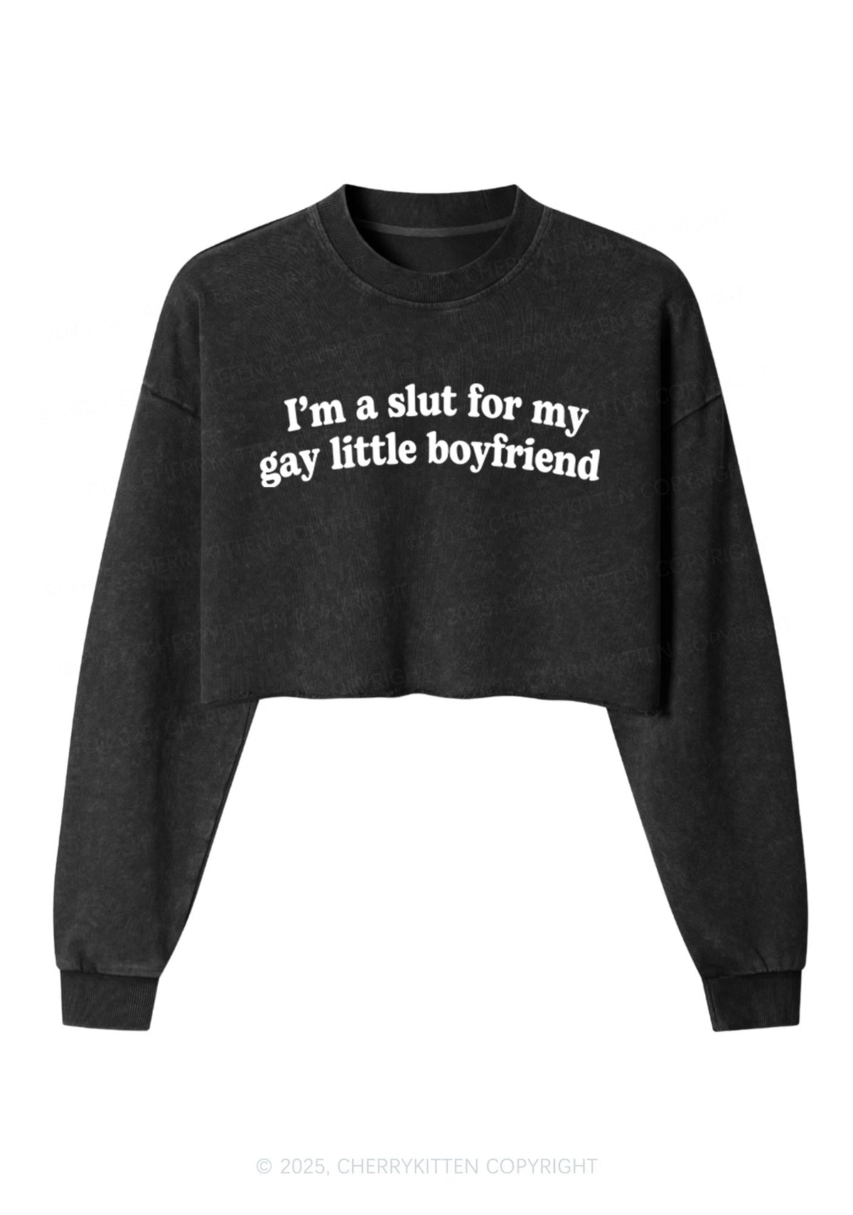 Slxt For My Gay BF Y2K Crop Washed Sweatshirts Cherrykitten