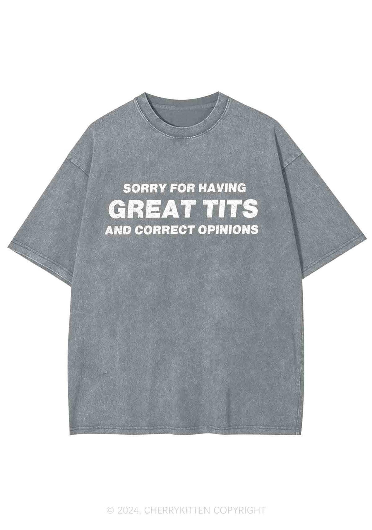 Sorry For Having Correct Opinions Y2K Washed Tee Cherrykitten