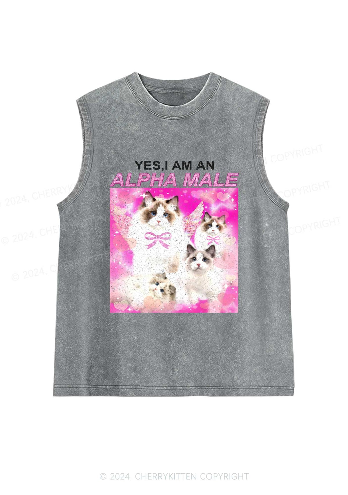 Alpha Male Y2K Washed Tank Cherrykitten
