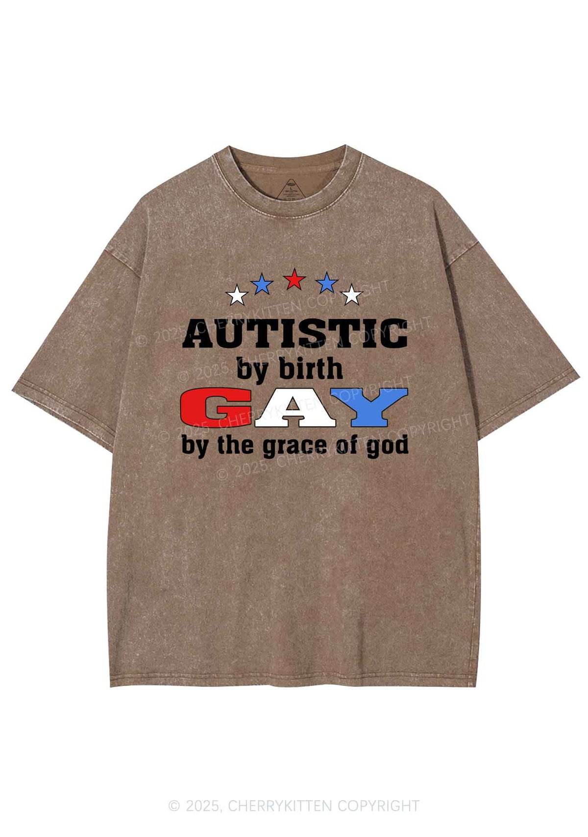 Autistic By Birth Gay Pride Y2K Shirts Washed Tee Cherrykitten