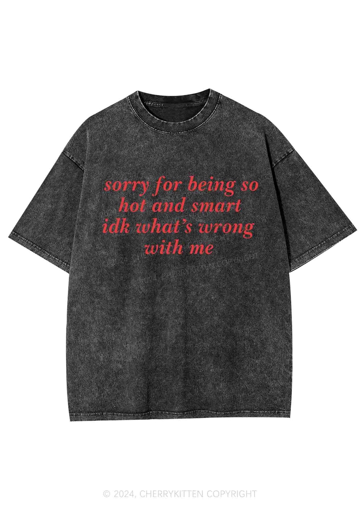 Sorry For Being So Smart Y2K Washed Tee Cherrykitten