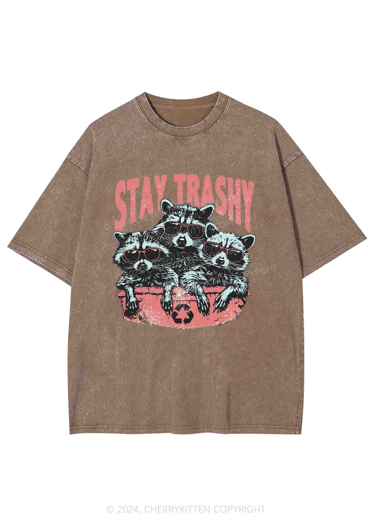 Stay Trashy Raccoons Y2K Washed Tee Cherrykitten