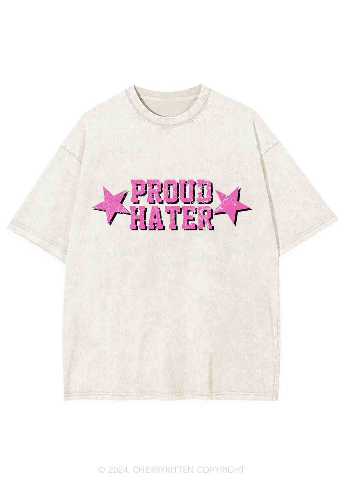 Proud Hater Y2K Washed Tee Cherrykitten