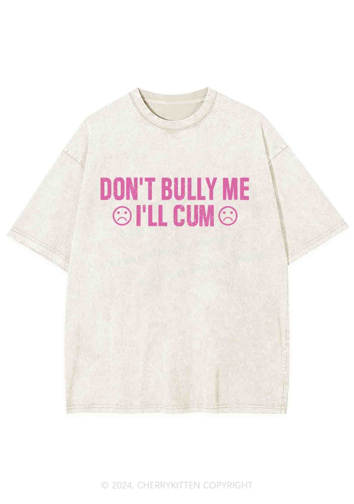 Don't Bully Me Y2K Washed Tee Cherrykitten