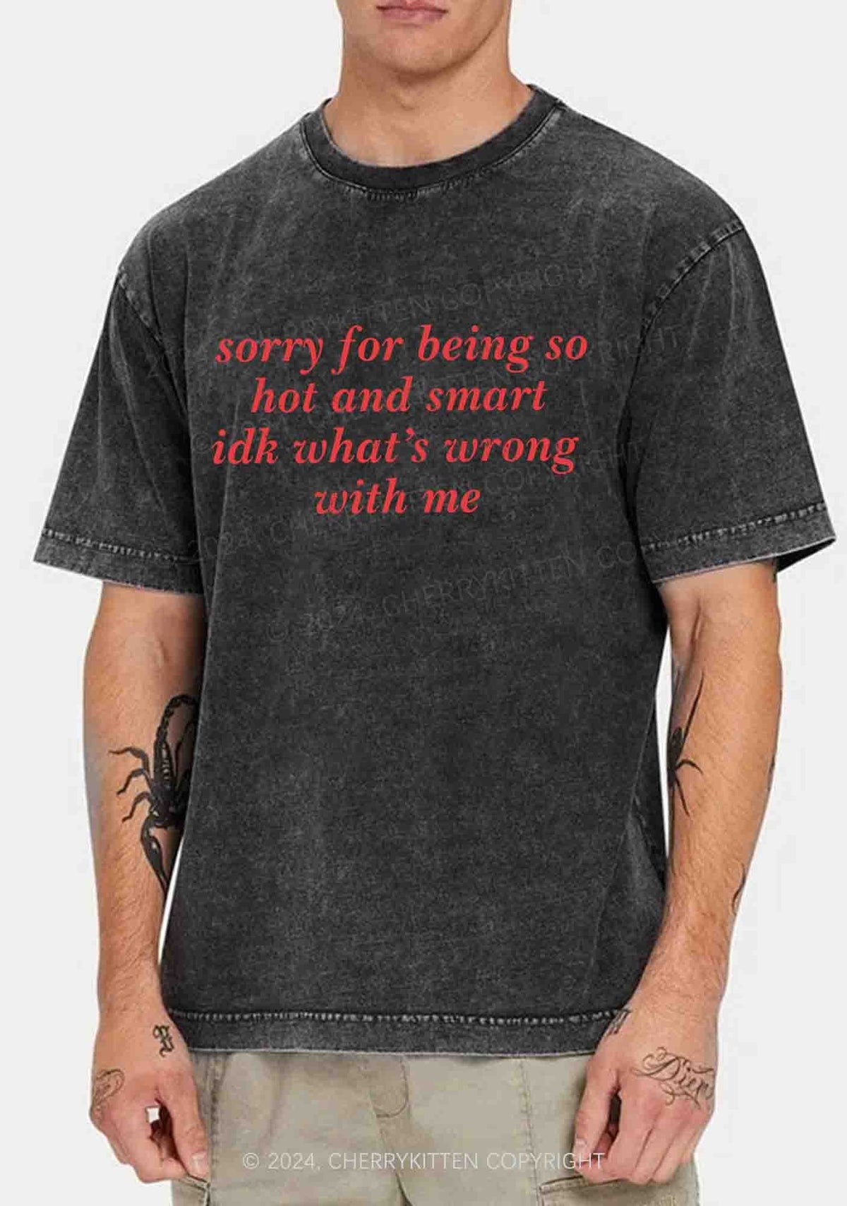 Sorry For Being So Smart Y2K Washed Tee Cherrykitten