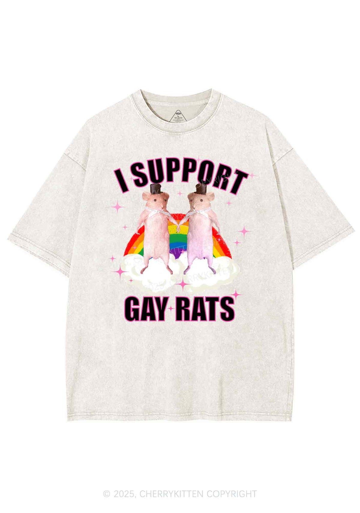 Support Gay Rats Pride Y2K Shirts Washed Tee Cherrykitten