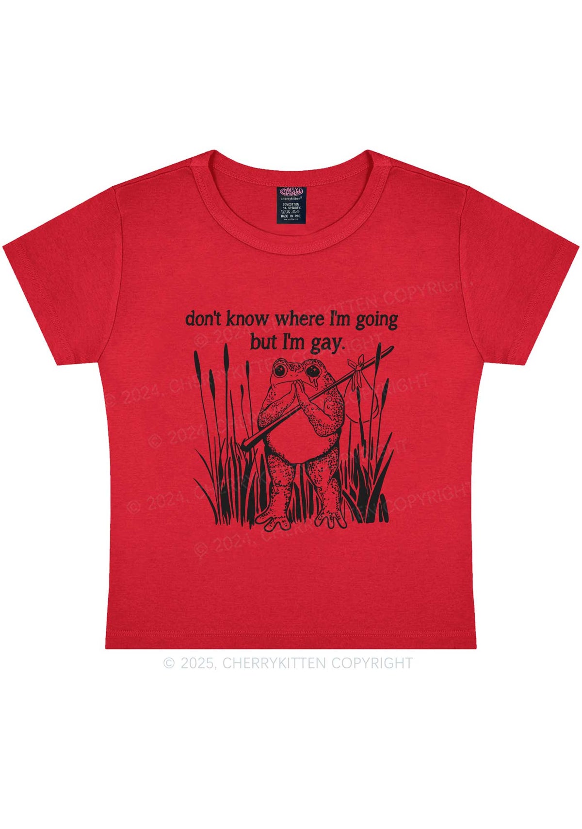But I Am Gay Frog Pride Y2K Baby Tee Cherrykitten