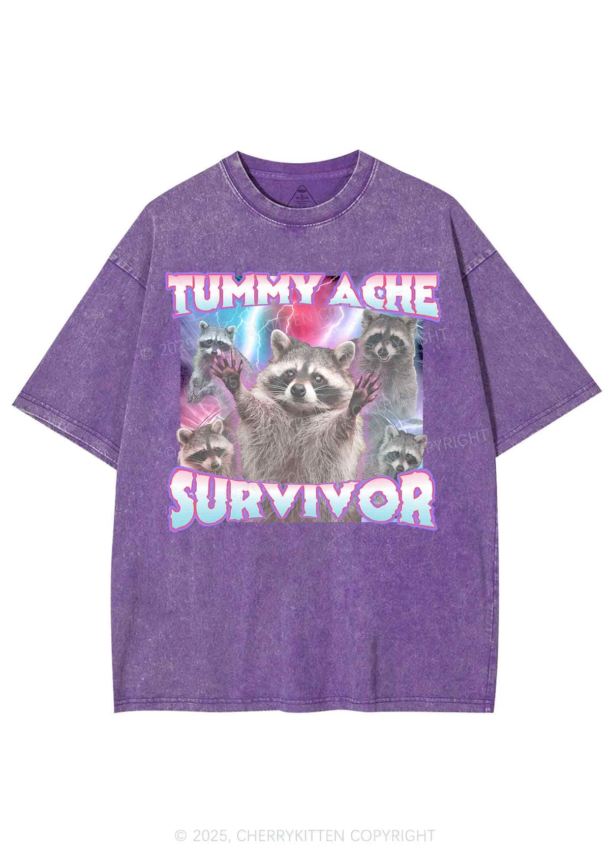 Tummy Ache Survivor Raccoon Y2K Shirts Washed Tee Cherrykitten